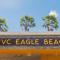 MVC Eagle Beach - Palm-Eagle Beach