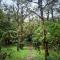Refugio La Paz EcoGlamping