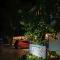 Amos Pili Tree Inn powered by Cocotel