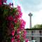 Fairway Inn by the Falls - 尼亚加拉瀑布