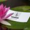 Liassidi Wellness Suites