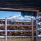 Chalet L'Oratoire - Huge Garden - Renovated Historic Chalet with Mountain Views - Les Houches
