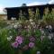 Hay Barn