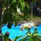 Back to the Beach Hostel - Pipa - Pipa