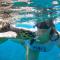 Beach Heaven Maldives - Golden Turtle Guest House