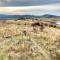 Jindabyne - Kia Ora Cabin Farmstay