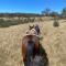 Jindabyne - Kia Ora Cabin Farmstay