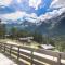 The Historic Chalet Les Allognes Mont-Blanc views - 里雾诗