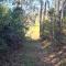 Cabana em Ouro Preto: represa mata caiaque e bike - Ouro Preto