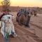 Desert Bivouac Mhamid