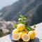 Terrazza Belvedere a Pontone - Amalfi coast