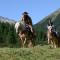 La Tresenda Hotel and Mountain Farm