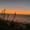 Tequila Sunset