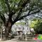 Charm’s Place