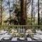 Modern Seednest Treehouse, Forest & Mountain View - Sassafras