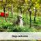 Vineyard Cottage Skatlar