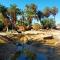 Sahara Camp Light