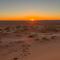 Sahara Camp Light