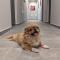 DORM BG pet-friendly Aparthotel