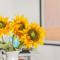 Sunflower Costa Blanca
