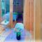 Mindo Eco Suite con Rio y Cascada