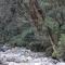 Chopta House Hotel and Restaurant