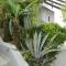Apartments Villa Ana
