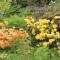 Silverstream Alpaca Farmstay & Tour - Kaiapoi