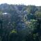 Black Penny Villas Ubud