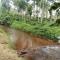 River View Guest Rooms - Vythiri
