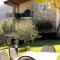 Mos Country House