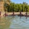 Cafour House Siwa - Hot Spring
