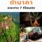 โรงแรมเรือนไทย 1 บึงโขงหลง - Ban Don Klang