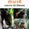 โรงแรมเรือนไทย 1 บึงโขงหลง