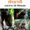 โรงแรมเรือนไทย 1 (Thai Guest House) - Ban Don Klang