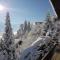 Appartement Weigl