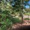 YEJOS Jungle Lodge