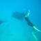 White Sandy Beach-Best Manta Snorkeling - Naviti Island