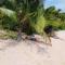 White Sandy Beach-Best Manta Snorkeling - Naviti Island