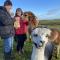 Unique Stay on an Alpaca Therapy Farm with Miniature Donkeys North Wales - 莫尔德