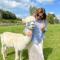 Unique Stay on an Alpaca Therapy Farm with Miniature Donkeys North Wales - Молд