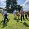 Unique Stay on an Alpaca Therapy Farm with Miniature Donkeys North Wales - Mold