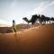 Merzouga Luxury Bivouac - Merzouga