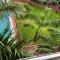 Mikocheni Retreat - Ensuite Rooms, Pool, Gym & Near the Beach - 达累斯萨拉姆