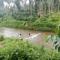 River View Guest Rooms - Vythiri
