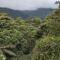 GOLDEN TREE MINDO ECO-LODGE GOLDEN TREE MINDO ECO-LODGE