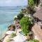 Rockn Reef