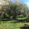 the garden among lemons