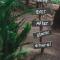 Vindoux Tree House Guest Farm & Spa