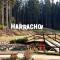 Apartment Harrachov Resident Vesna by Interhome - Harrachov